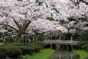 Orchestra Ensemble Kanazawa