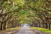 Savannah Philharmonic